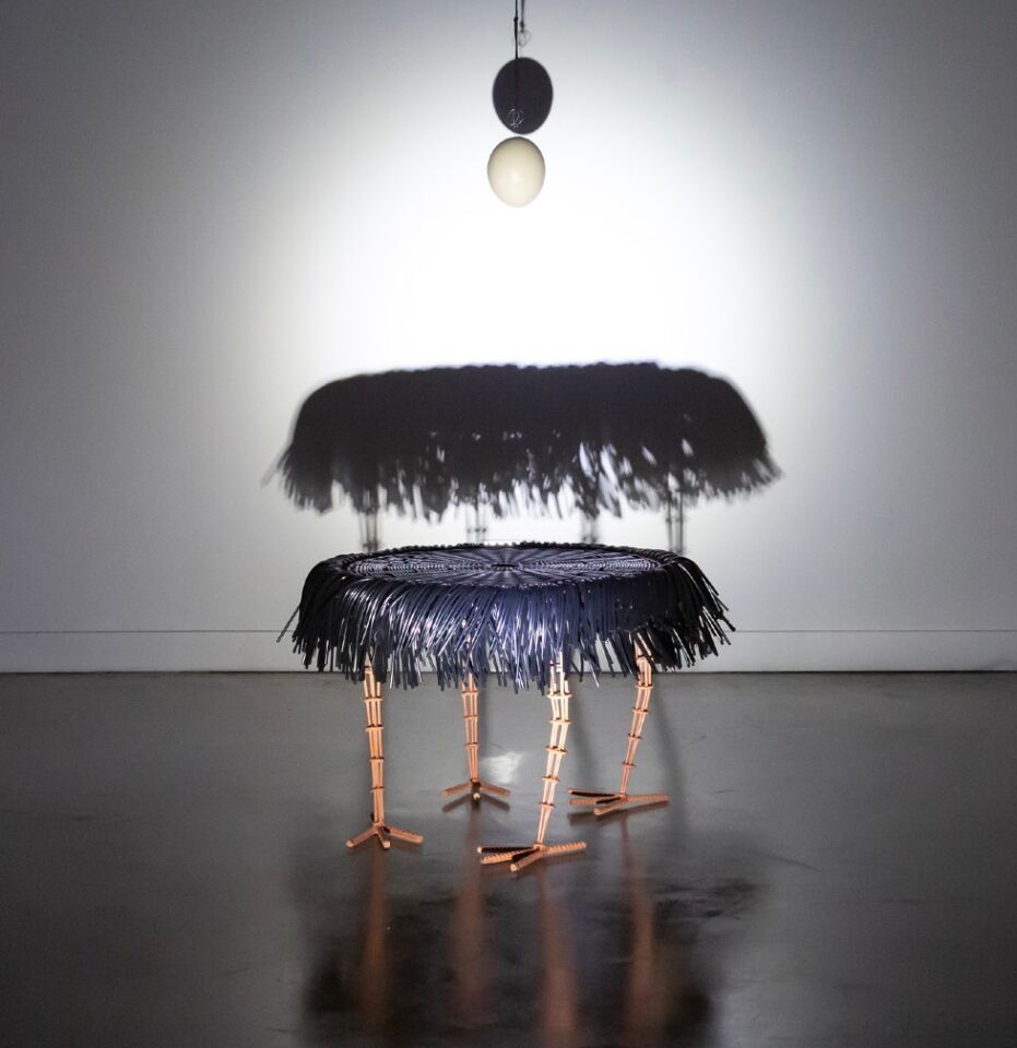 La Fauna_small